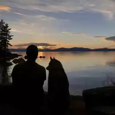容晶辉